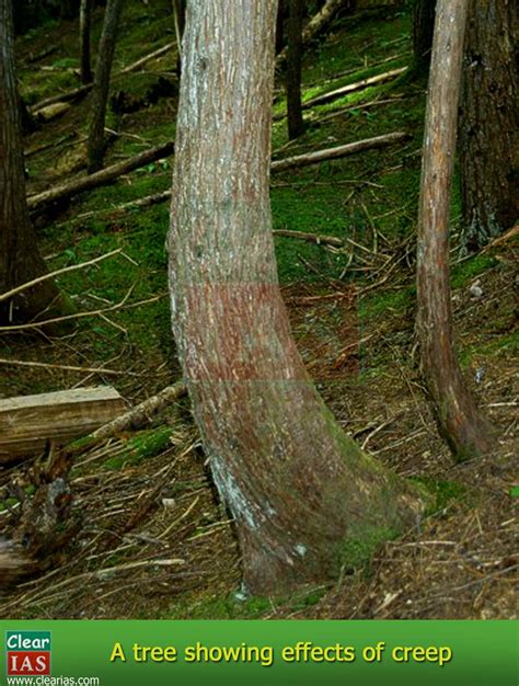 Concept Map of Exogenic Process 的图像结果