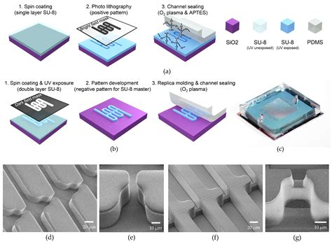 Deterministic Capture of Individual Circulating Tumor Cells Using a ...