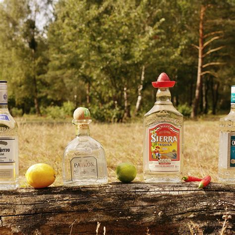 Patrón Tequila | MALT WHISKY Magazin