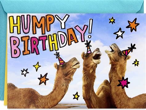 Hallmark Shoebox Funny Birthday Card (Humpy Birthday Camels) – BigaMart
