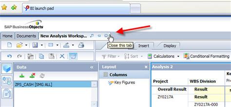 Image result for SAP OLAP