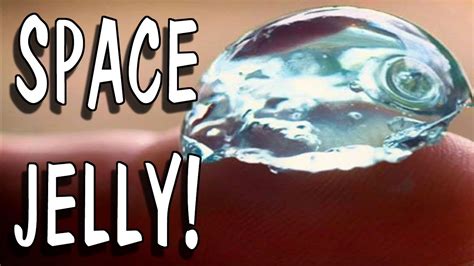 Image result for Things Scientist Cannot Explain