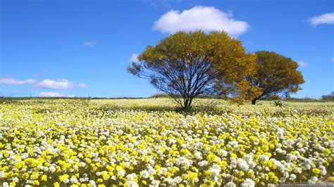 Image result for Spring Weather Picures