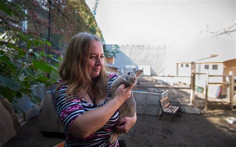 ‘Rabbit Lady’ Challenges Police in Brooklyn Cruelty Case - The New York Times