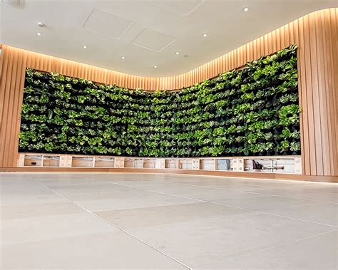 Indoor Green Wall System