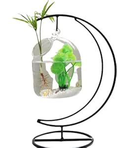 Kairali Murivenna for Acute Injuries - 200 ml : Amazon.in: Health ...