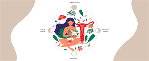 Understanding Hormones During Menstrual Cycle Phases — Azah