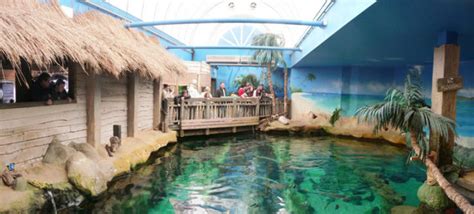 Oceanarium Bournemouth , bournemouth, United Kingdom - Top Attractions ...