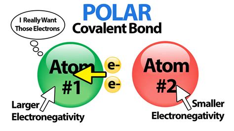 Polar Covalent Compounds Examples 的图像结果