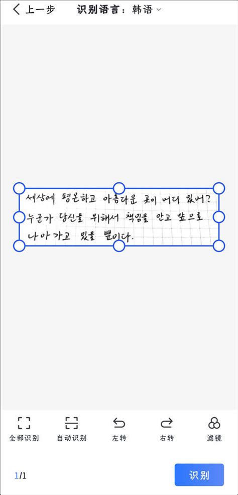 韩语手写识别？教你如何识别手写韩语_语言_图片_界面