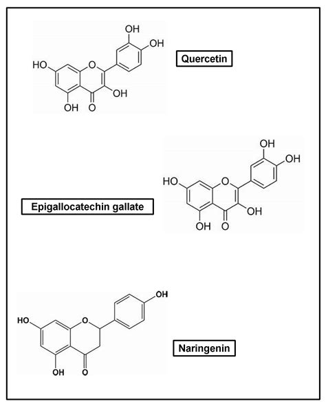 Drug 的图像结果
