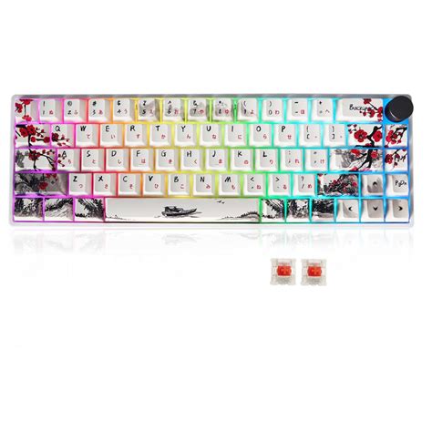 MOLGRIA GK68 68-Key RGB Backlit Gaming Keyboard with Plum Blossom ...