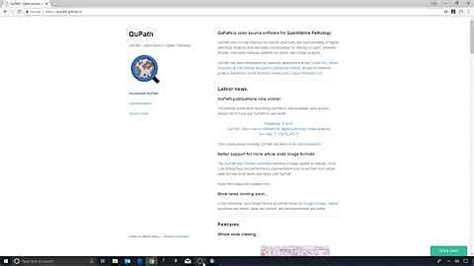 Image result for QuPath Basics