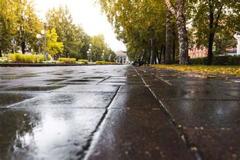 Major cities vulnerable to natural disasters