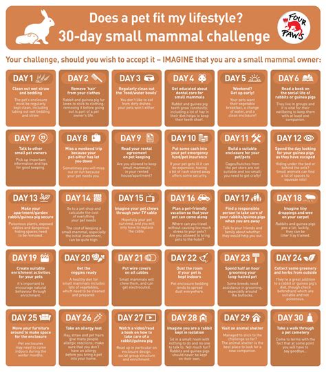 Does a Small Mammal Fit My Lifestyle? - FOUR PAWS International ...