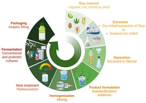 Plant-Based Fermented Beverages: Nutritional Composition, Sensory ...