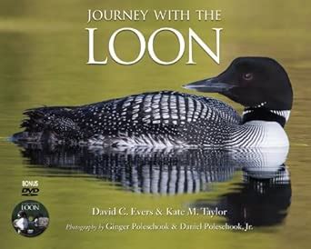 Buy Journey With the Loon Book Online at Low Prices in India | Journey ...