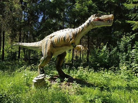 THE 30 BEST Places to Visit in Panevezys County (2026)