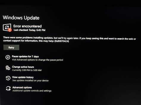 Image result for Error Code 0X80070424