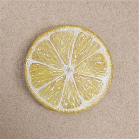Image result for Lemon Shadow Drawing