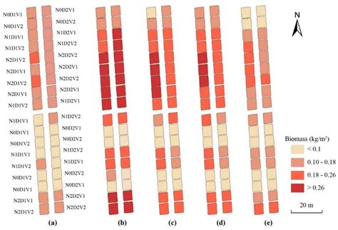 Analysis and Evaluation of the Image Preprocessing Process of a Six ...