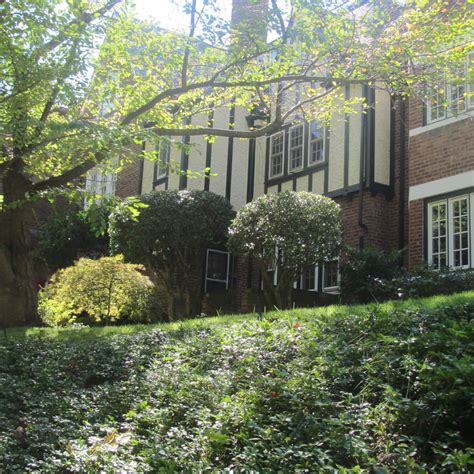 Full Sun to Part Shade Definition — Plant and Bloom Design Studio