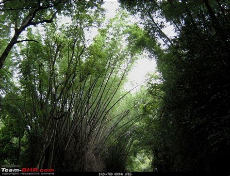 Stress buster!! - Page 12 - Team-BHP