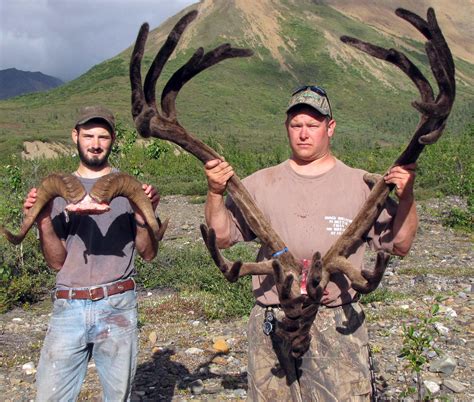 Alaska Caribou Hunting Guides - Hidden Alaska Guides and Outfitters