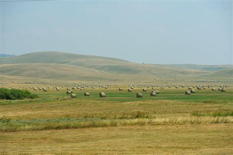 Spring/Summer View 的图像结果