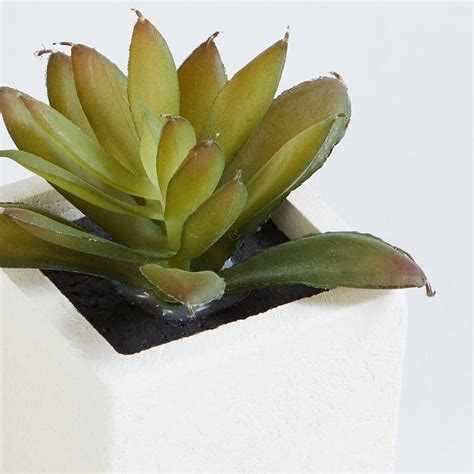 Buy Gardenia Artificial Plant in Cement Pot from Home Centre at just ...