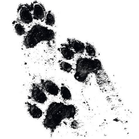 Wolf Paw Print PNG, Vector, PSD, and Clipart With Transparent ...