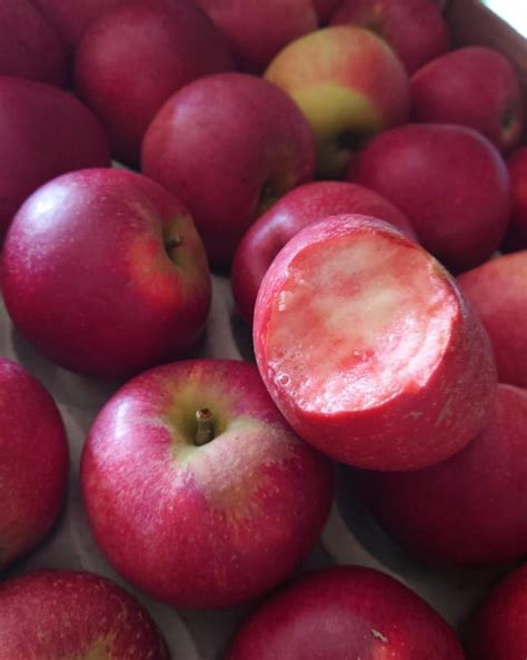 Raspberry Ripple 的图像结果