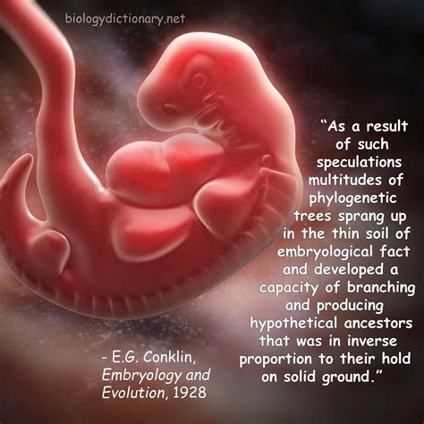 Quotes About Biology 的图像结果