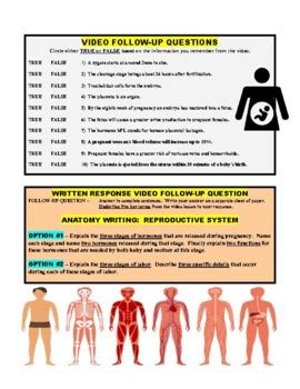 Crash Course Reproductive 的图像结果