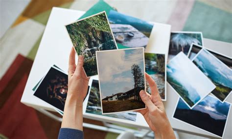 Sample Freebies 的图像结果