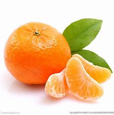 橘子seo查询 的图像结果
