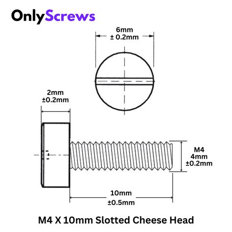 Nylon Slotted CHHD Screw – OnlyScrews