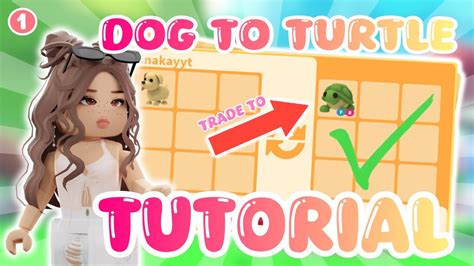 basic adopt me tutorial 的图像结果