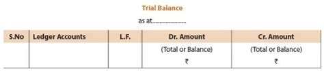 ICAI Notes- Unit 3: Trial Balance - CA Foundation PDF Download