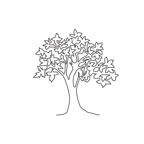 Image result for Maple Tree Line Drawing