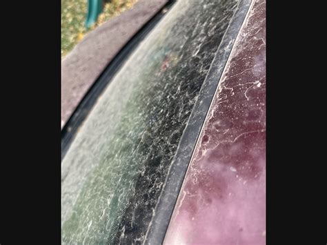 Acid Rain Falls In The Twin Cities Metro | Stillwater, MN Patch