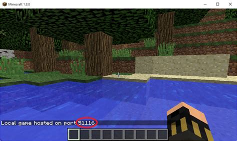 Image result for How to Play Minecraft Java Edition with Friends