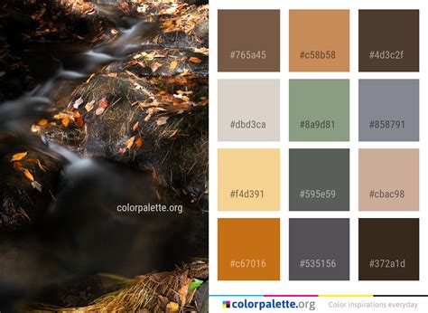 Nature Color 的图像结果