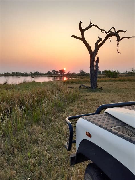THIRD BRIDGE CAMPSITE (Moremi Game Reserve) - Campground Reviews ...