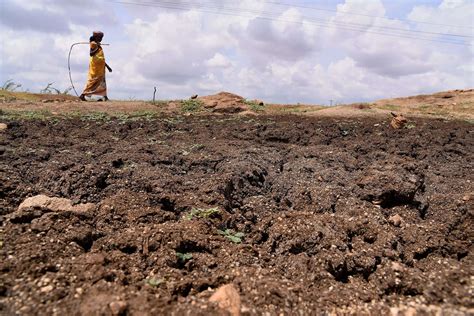 Anantapur: In Andhra Pradesh, 2 decades of drought emptying out ...