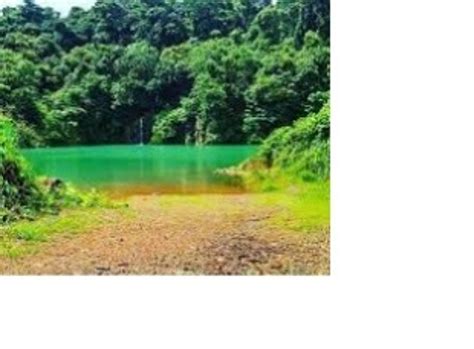 Does Goa require a Unity Mall, when a massive handicrafts head office ...