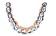 Label the below given Figure 2.1 as directed below in (i) to (iv) and ...