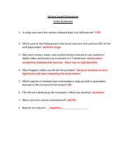 Image result for How Wolves Saved Yellowstone