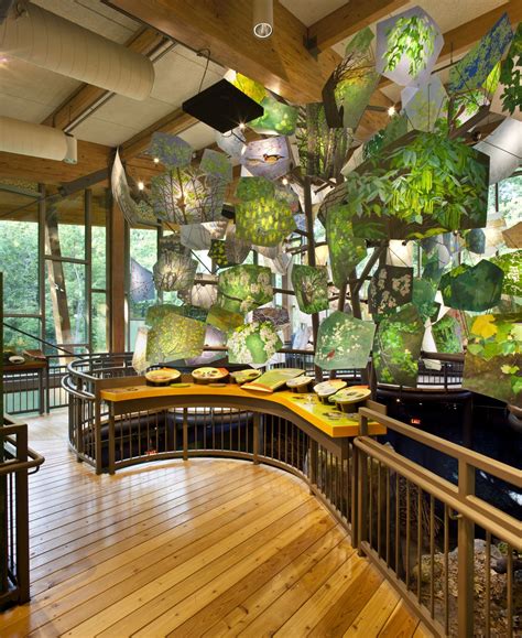 Nature Center 的图像结果