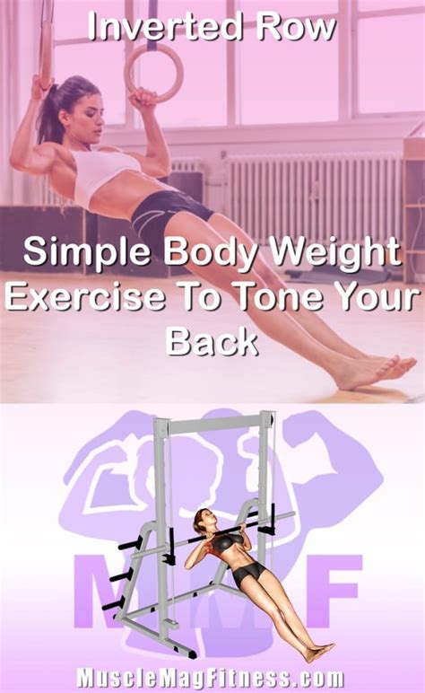 Image result for Inverted Row Exercise